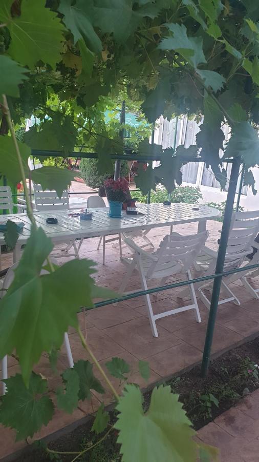 Accommodatie bij particulieren Casa Carina *