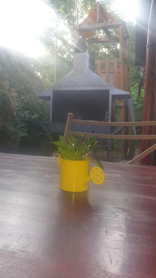 Accommodatie bij particulieren Casa Carina *